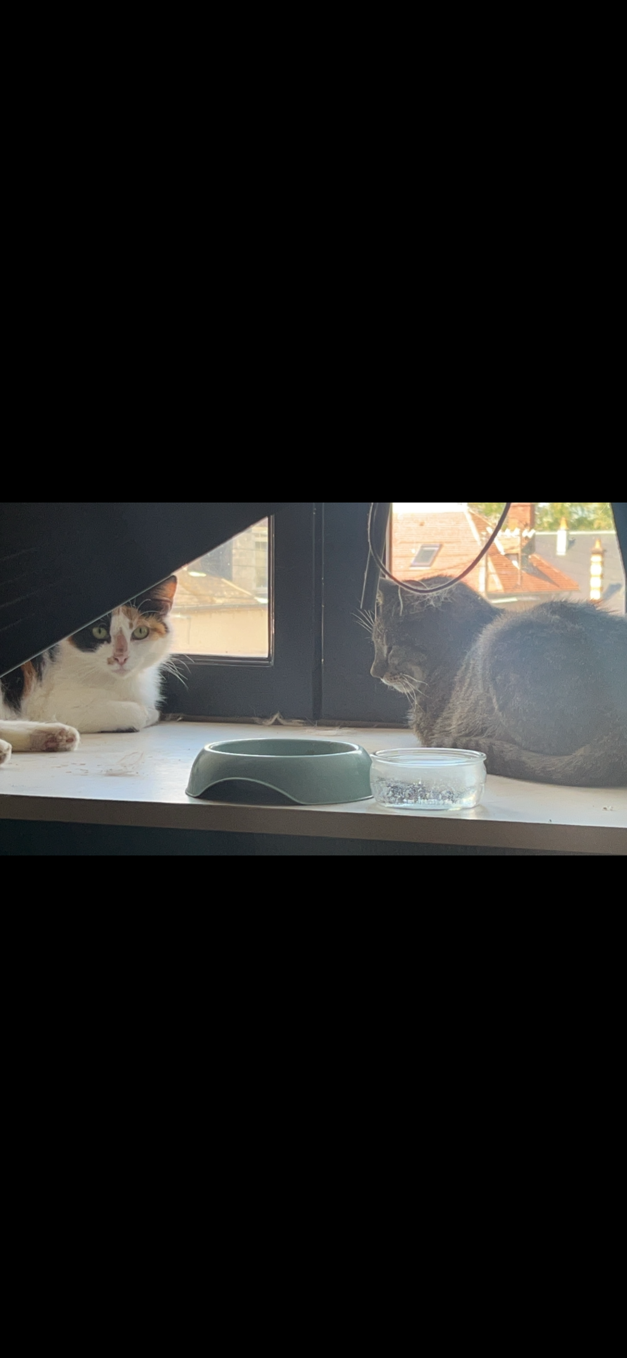 Service chat 58 entre particuliers