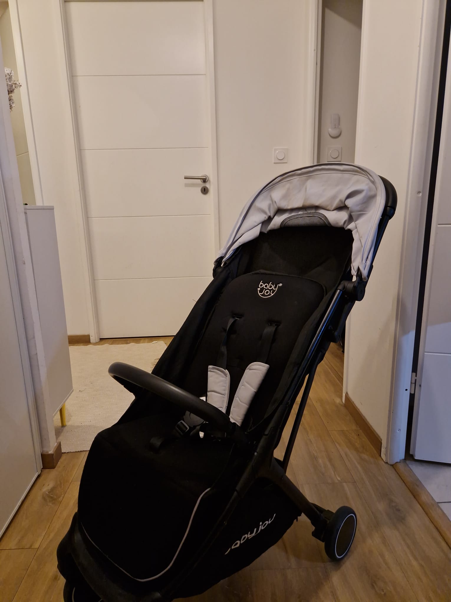 Location poussette 59 entre particuliers