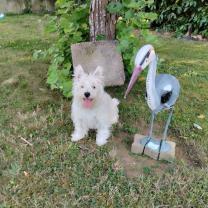 Demander une garde