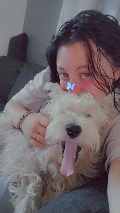 Service : promeneur chien Service : promeneur chien