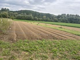 Louer le jardin