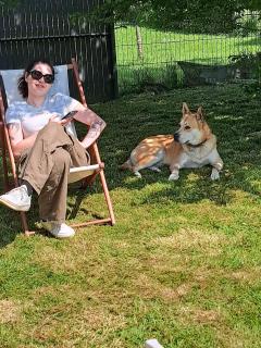 Service : garde animaux Service : garde animaux