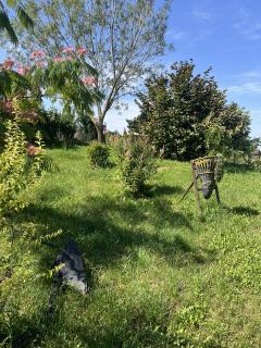 Service : tonte de pelouse Service : tonte de pelouse