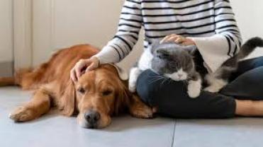 Demander une garde