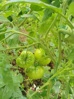 Louer mon jardin