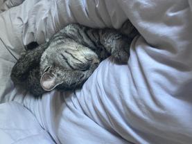 Service : chat Service : chat