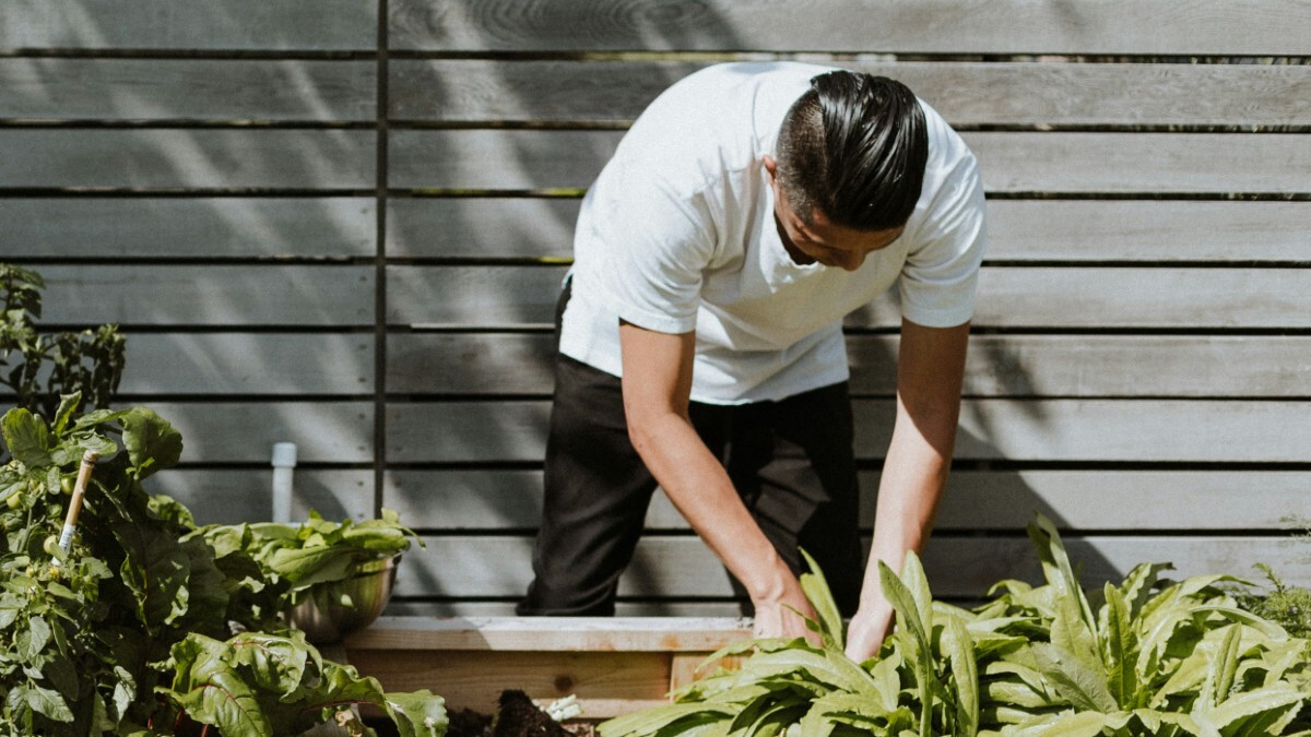 Service entretien espace vert 33 entre particuliers