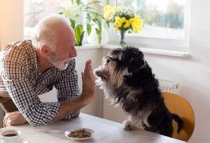 Demander ce petsitter