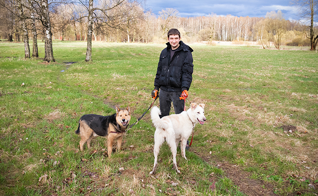 Service promeneur chien 80 entre particuliers