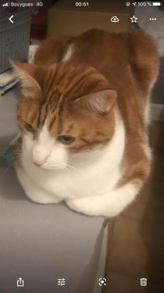 Service : chat Service : chat