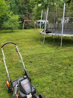 Service : tonte de pelouse Service : tonte de pelouse