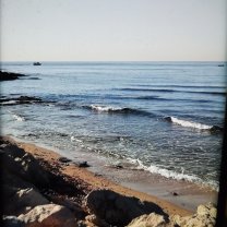 Location : logement contre service Location : logement contre service