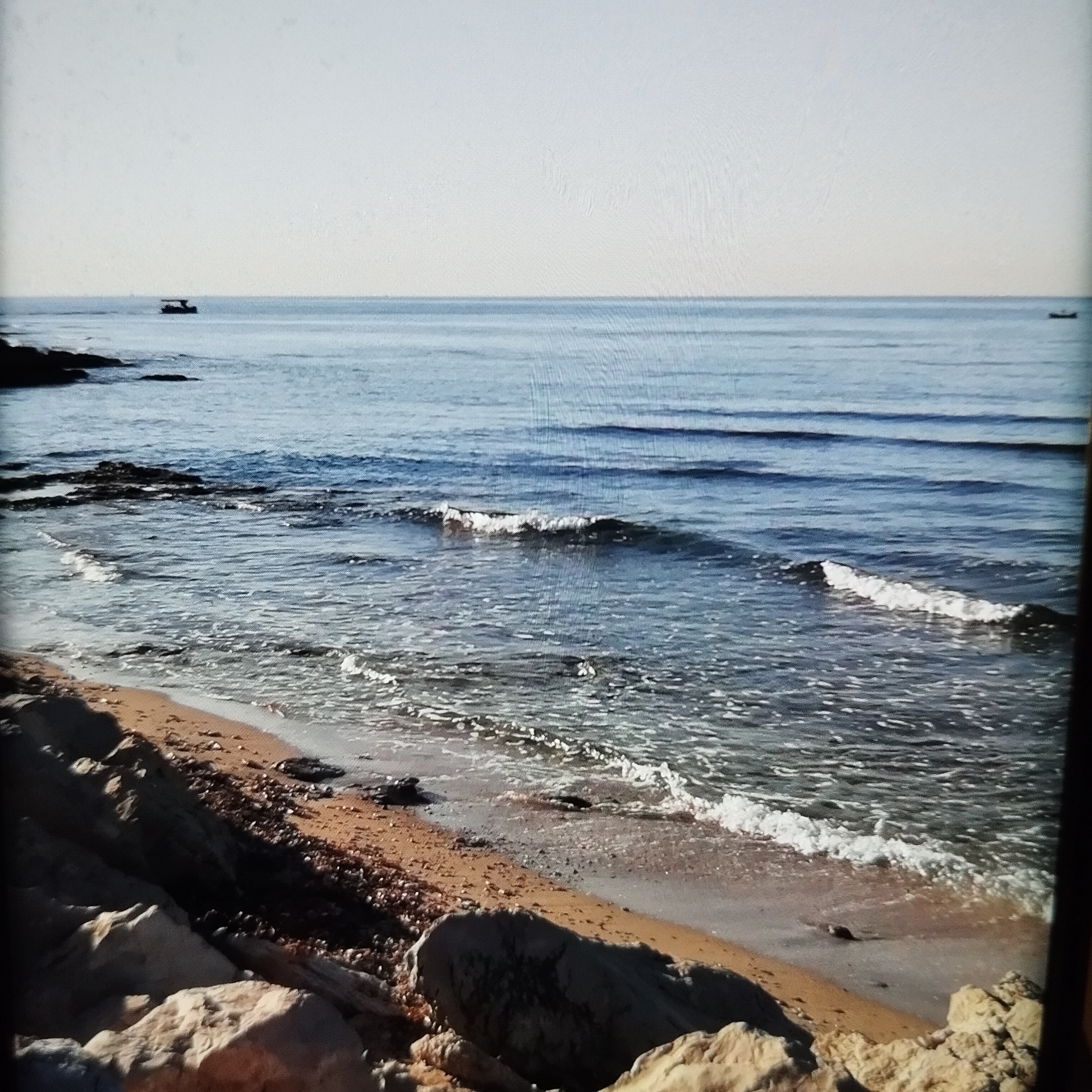 Location logement contre service 13 entre particuliers