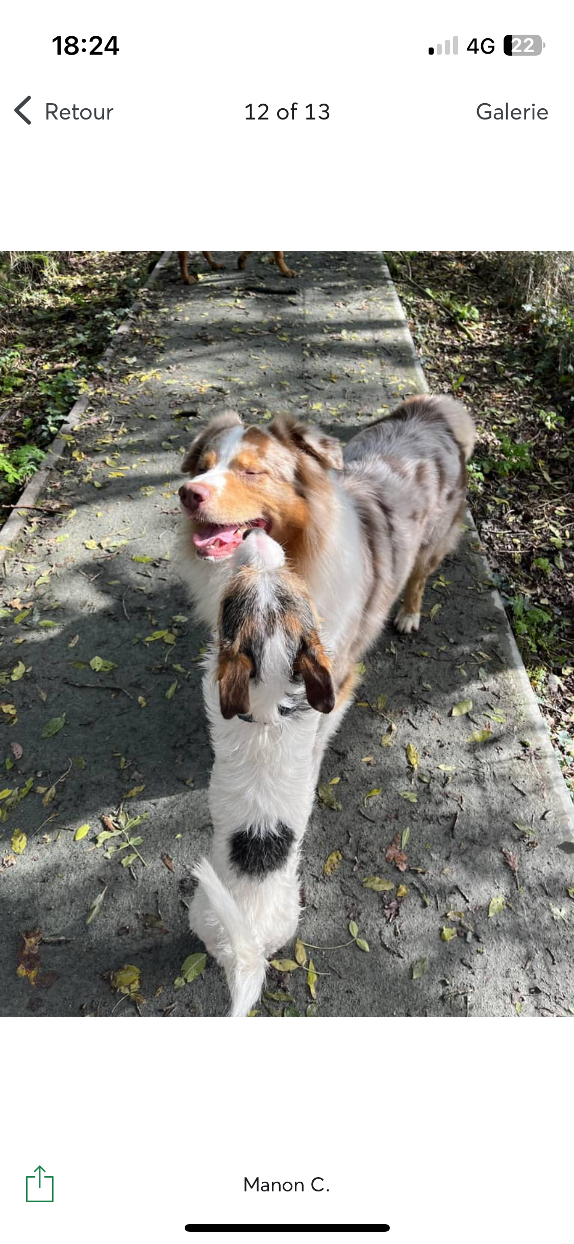 Service chien 49 entre particuliers