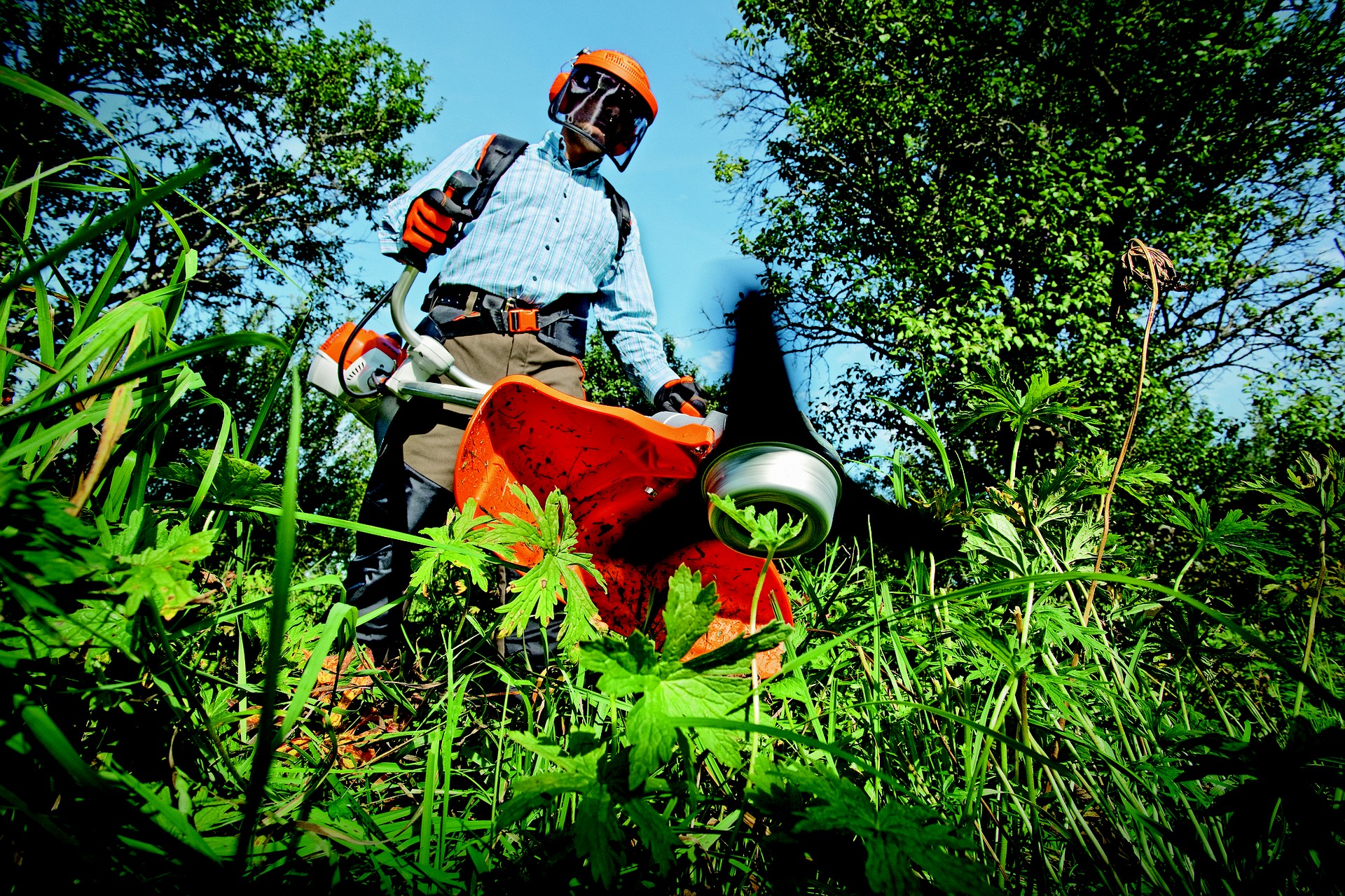 Service jardinage 95 entre particuliers