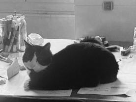 Demander ce catsitter