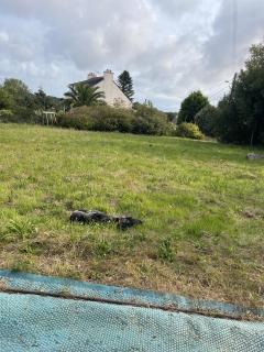 Service : tonte de pelouse Service : tonte de pelouse