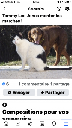 Demander un promeneur