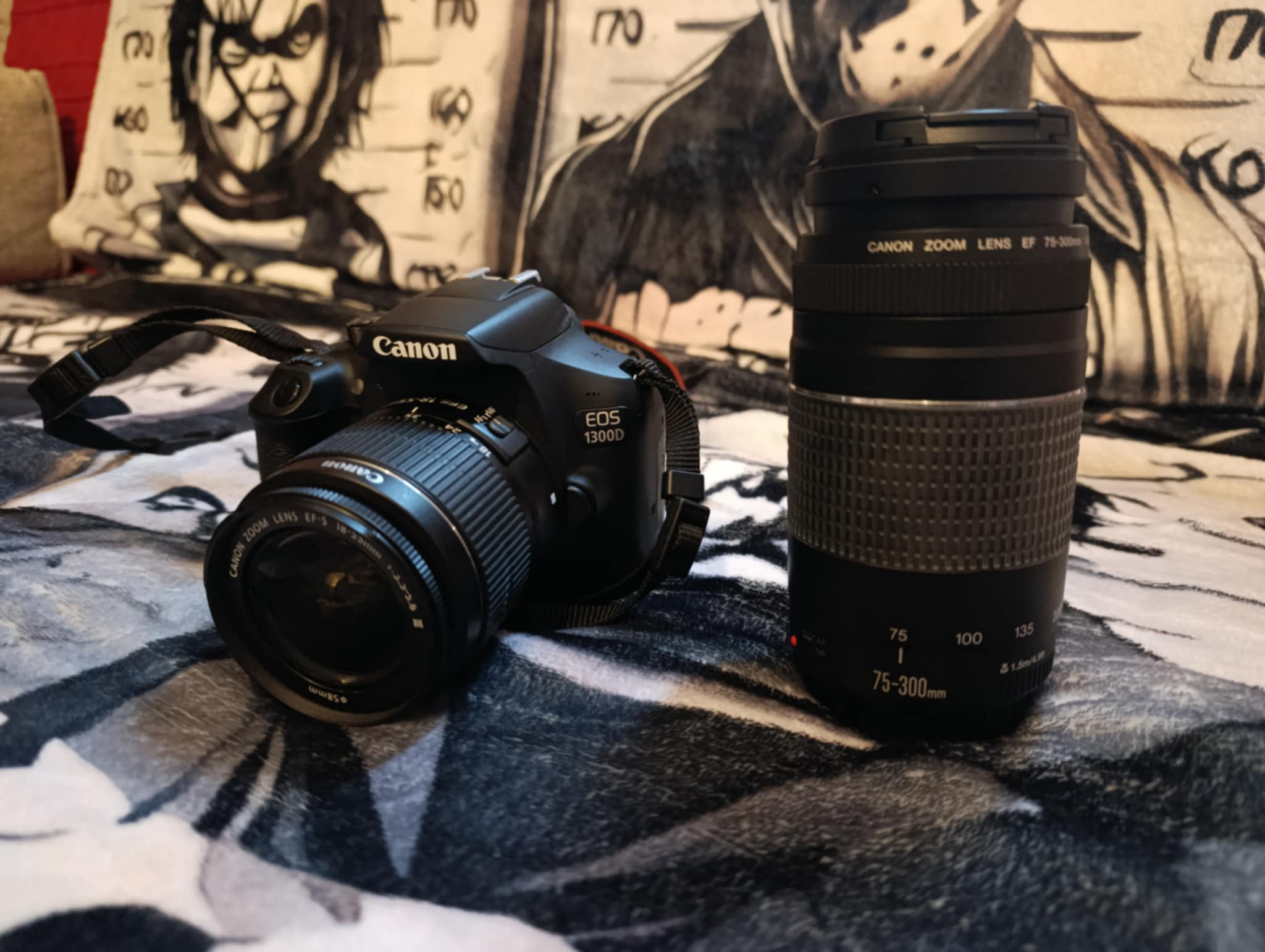 Location appareil photo numerique 35 entre particuliers