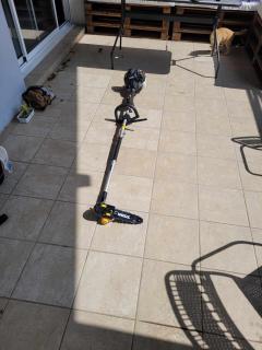 Location : elagueuse Location : elagueuse