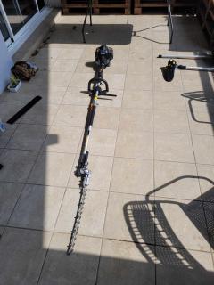 Location : taille haie Location : taille haie