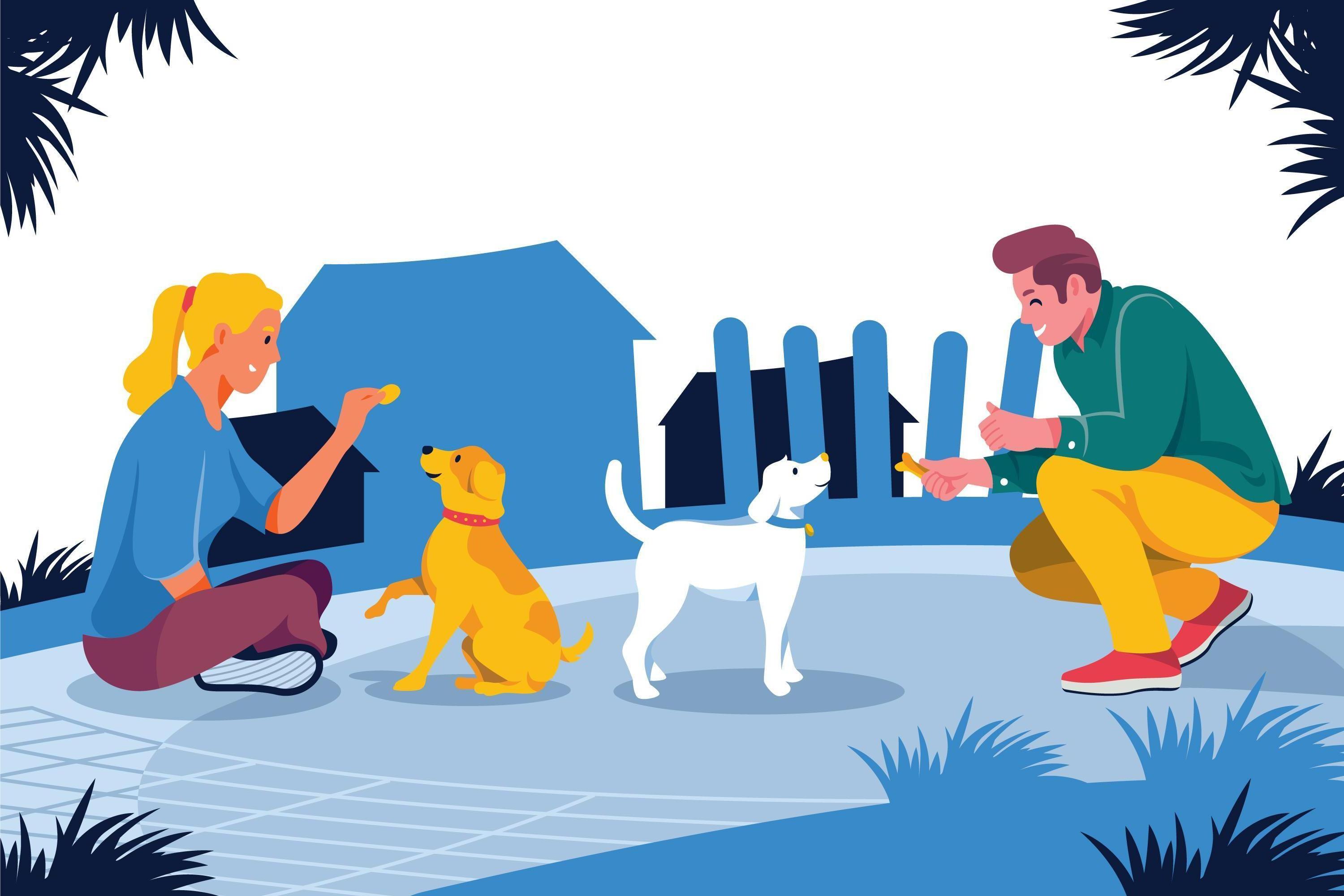 Service promeneur chien 80 entre particuliers