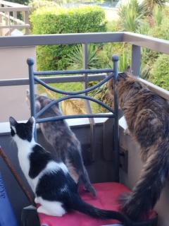 Demander un ménage