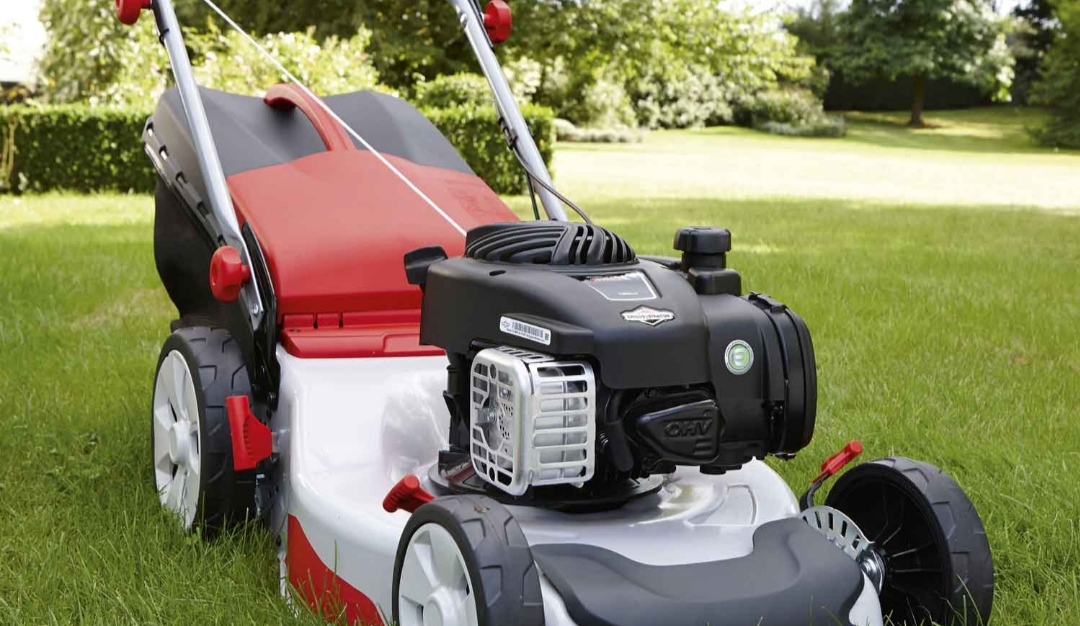 Service tonte de pelouse 37 entre particuliers