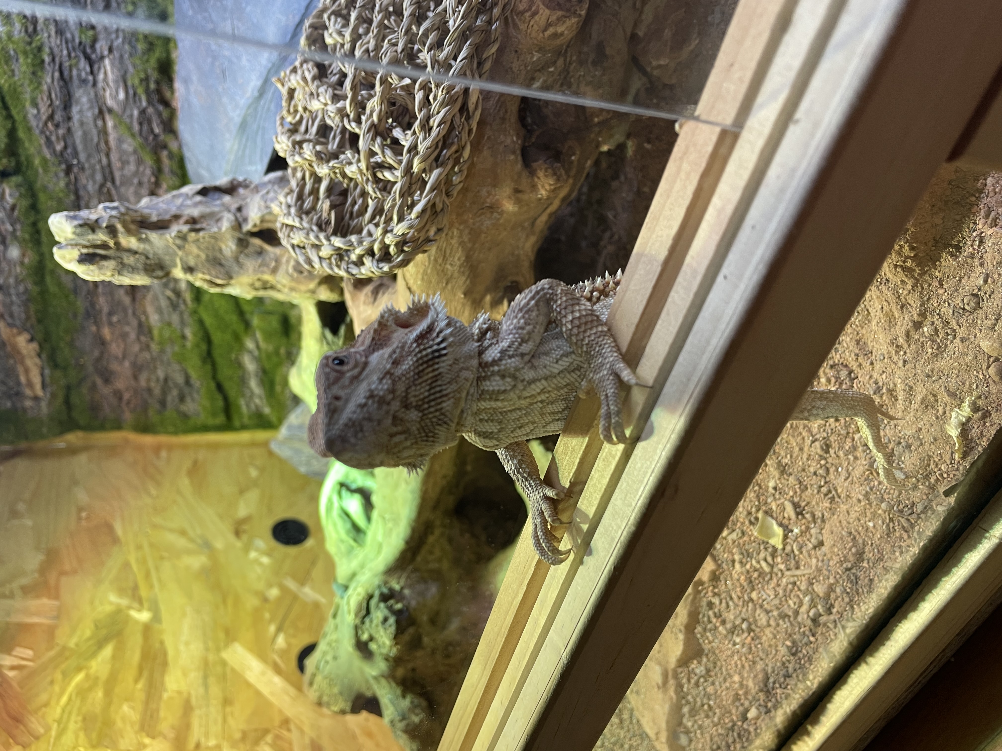 Service reptile 75 entre particuliers