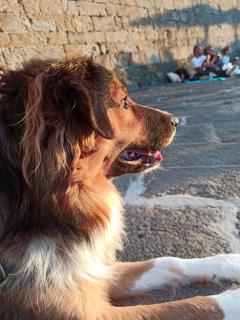 Service : chat Service : chat