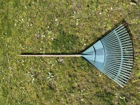 Service : entretien jardin