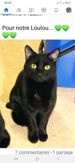 Service : garde animaux Service : garde animaux