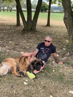 Service : chien Service : chien