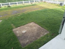 Service : tonte de pelouse