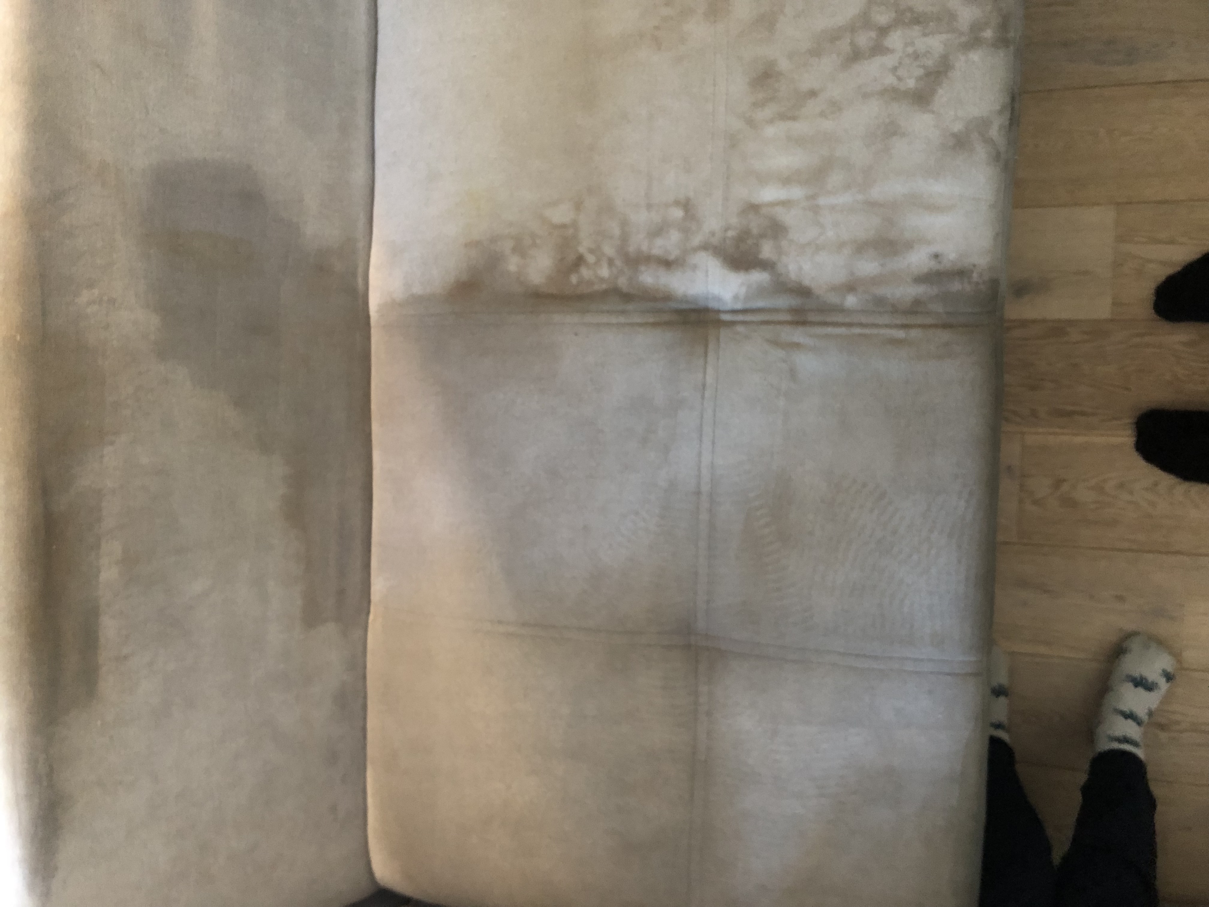 Location shampouineuse entre particuliers (92)