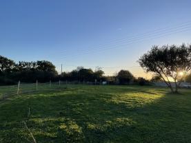 Service : entretien espace vert Service : entretien espace vert