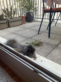 Demander une garde