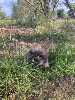 Demander une garde