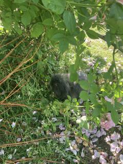 Demander une garde