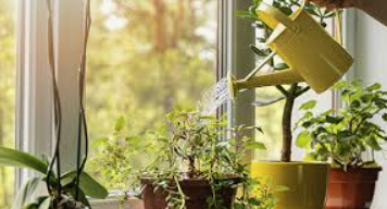 Service arrosage 38 entre particuliers