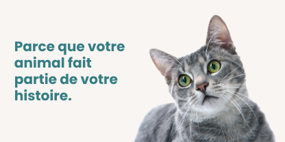 Service garde animaux