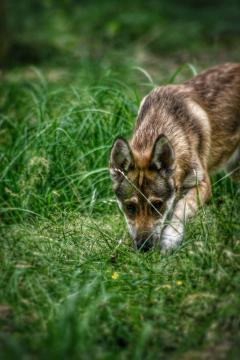 Service : photographie Service : photographie