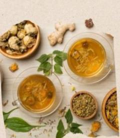 Service : autres cours particuliers Service : autres cours particuliers