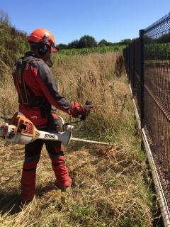 Service : debroussaillage Service : debroussaillage