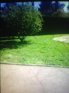 Louer débroussailleuse Louer débroussailleuse