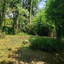 Service : multi services Service : multi services