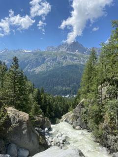 Service : aide aux courses Service : aide aux courses