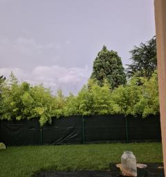 Service : nounou Service : nounou