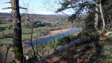 Service : coach sportif Service : coach sportif