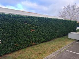 Service : entretien espace vert Service : entretien espace vert